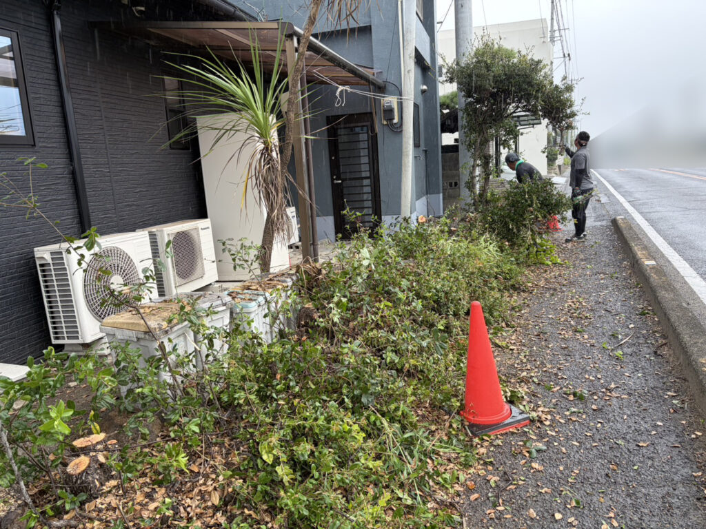 【高松市Ｈ様邸】庭仕舞い工事｜石垣上や道路沿いの生垣撤去完了！立派な門かぶり松も伐採完了 (株)カインズガーデン