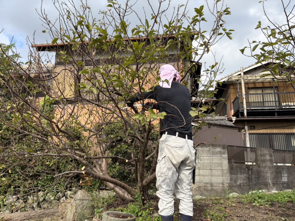 【高松市Ｈ様邸】庭仕舞い工事｜伐根で道路面スッキリ✨大きな木の伐採や池周りも綺麗にします (株)カインズガーデン
