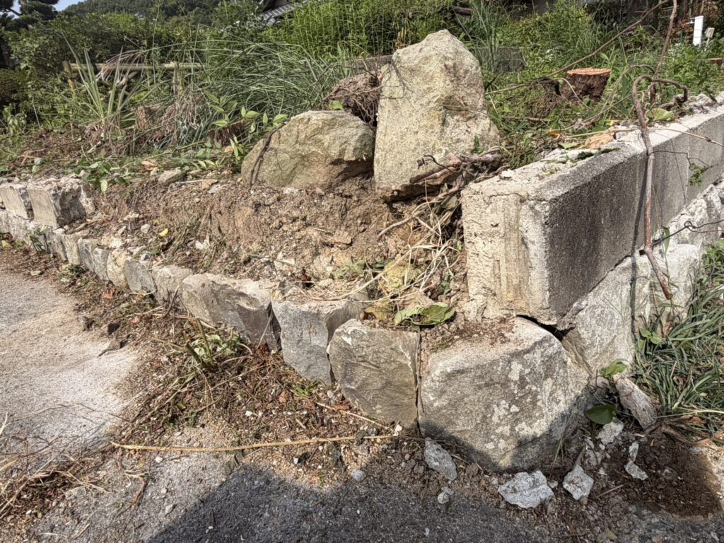 1021 (1)