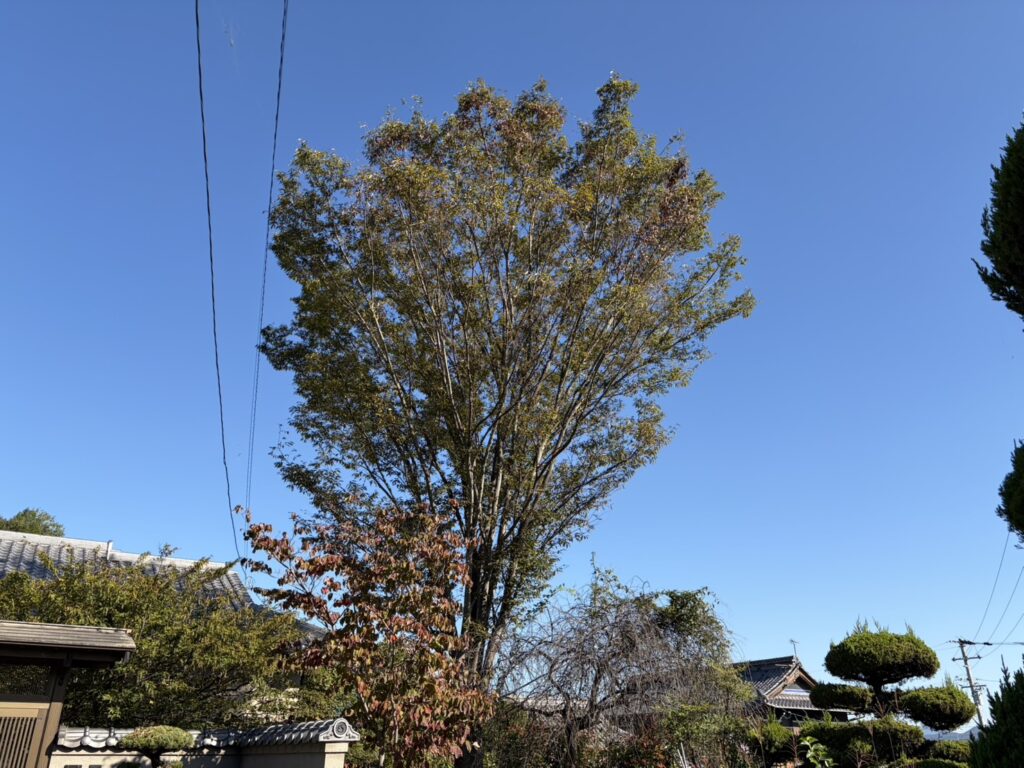 【丸亀市Ｓ様邸】庭リフォーム工事｜白塗りブロック塀の撤去完了。化粧ブロック門壁も撤去を進めます (株)カインズガーデン