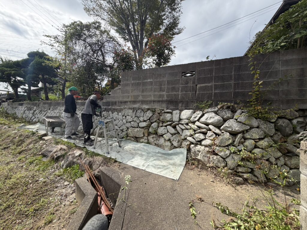 S__26353685