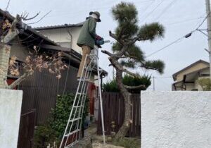 【綾川町Ｍ様邸】お庭・裏庭の庭木撤去工事、本日着工⛑ (株)カインズガーデン｜香川県の庭仕舞い工事