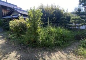 【三豊市Ｓ様邸】「花壇が草山！元々の地面の状態に戻したい」庭リフォーム工事着工⛑ (株)カインズガーデン｜香川の庭仕舞い
