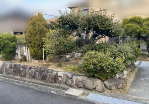 【綾川町Ｓ様邸】庭じまい工事着工⛑｜生垣・庭木・庭石を撤去し、スッキリ雑草対策仕上げにします (株)カインズガーデン