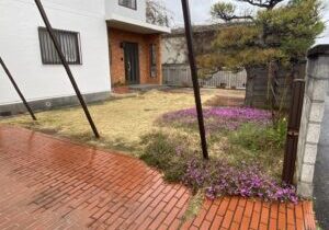 【高松市ＫＵ様邸】雑草対策＆庭仕舞い工事着工⛑｜庭木植栽・天然芝花壇撤去、波板やドアパネルも交換 (株)カインズガーデン