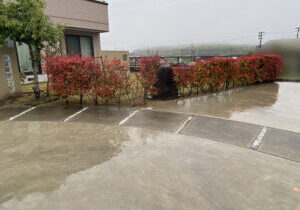 【まんのう町Ｓ様邸】垣根撤去＆目隠しフェンス設置工事着工⛑｜レッドロビンの垣根撤去と庭石移設完了 (株)カインズガーデン