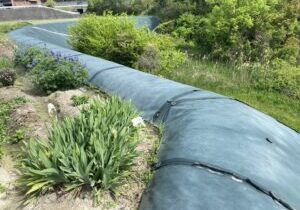 【綾川町Ｔ様邸】雑草対策工事｜田んぼ法面の防草シート（テープ劣化やイノシシが遊んだあと）修繕 (株)カインズガーデン