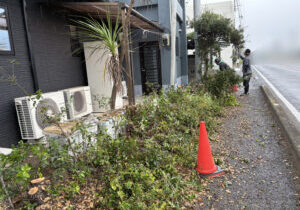 【高松市Ｈ様邸】庭仕舞い工事｜石垣上や道路沿いの生垣撤去完了！立派な門かぶり松も伐採完了 (株)カインズガーデン
