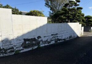 【丸亀市Ｓ様邸】庭リフォーム工事着工⛑｜古くなり崩れてきそうな塗り壁・ブロック塀・ブロック門壁を撤去します